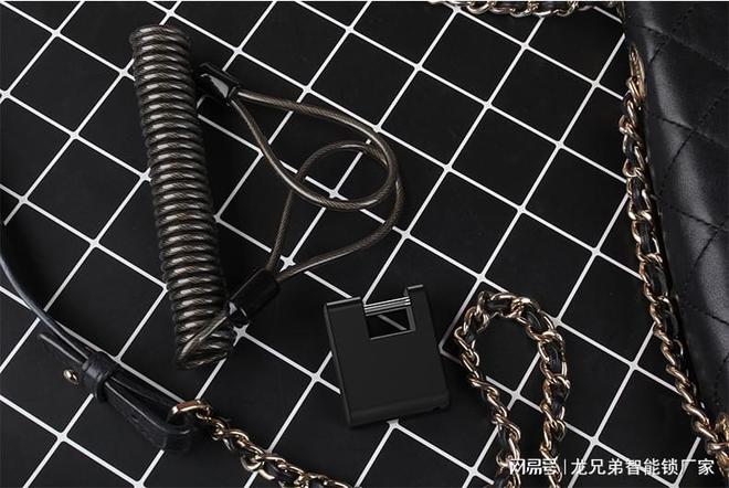 新太阳城蓝牙指纹箱包挂锁指纹锁源头厂家专注智能锁设计、研发、制造(图3)